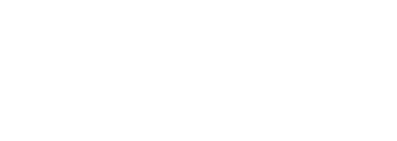 Naperville Triathlon Logo - Reverse